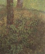 Vincent Van Gogh Undergrowth (nn04) painting